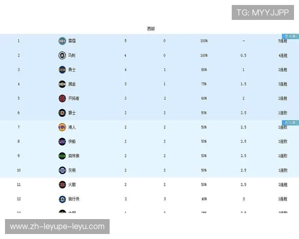 NBA休斯敦火箭队近年战绩与未来前景分析