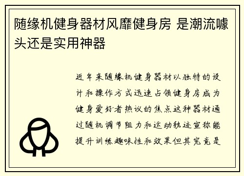 随缘机健身器材风靡健身房 是潮流噱头还是实用神器
